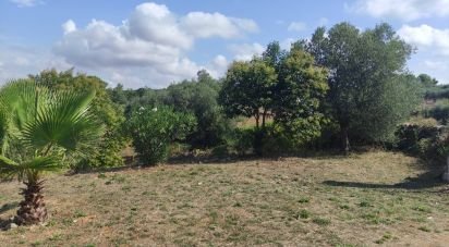 Casa indipendente 6 locali di 120 m² in Martina Franca (74015)