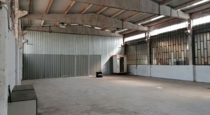 Warehouse of 300 m² in San Giusto Canavese (10090)