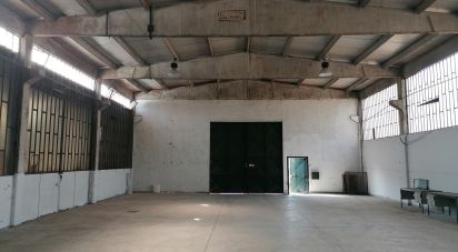 Warehouse of 300 m² in San Giusto Canavese (10090)