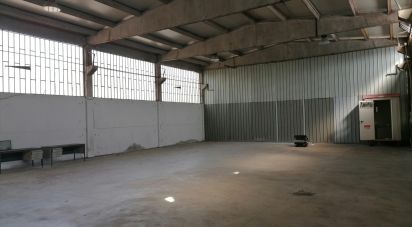 Capannone di 300 m² in San Giusto Canavese (10090)