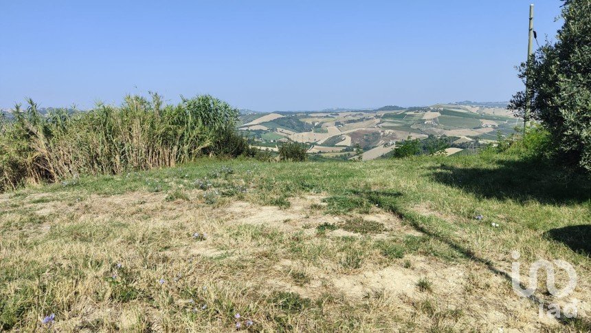 Terreno di 7.080 m² in Cossignano (63067)