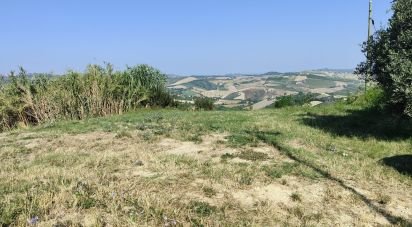 Terreno di 7.080 m² in Cossignano (63067)