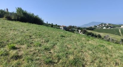 Terreno di 7.080 m² in Cossignano (63067)