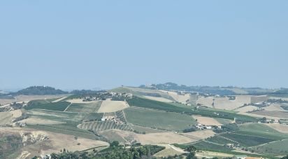 Terreno di 7.080 m² in Cossignano (63067)