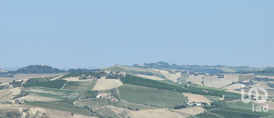 Land of 7,080 m² in Cossignano (63067)