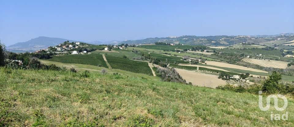 Terreno di 7.080 m² in Cossignano (63067)