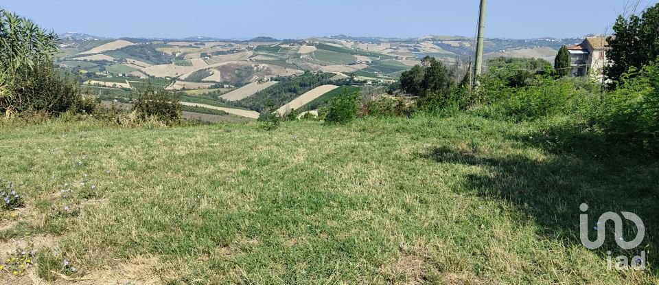 Terreno di 7.080 m² in Cossignano (63067)