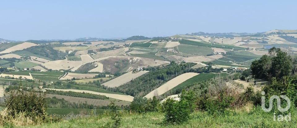 Terreno di 7.080 m² in Cossignano (63067)