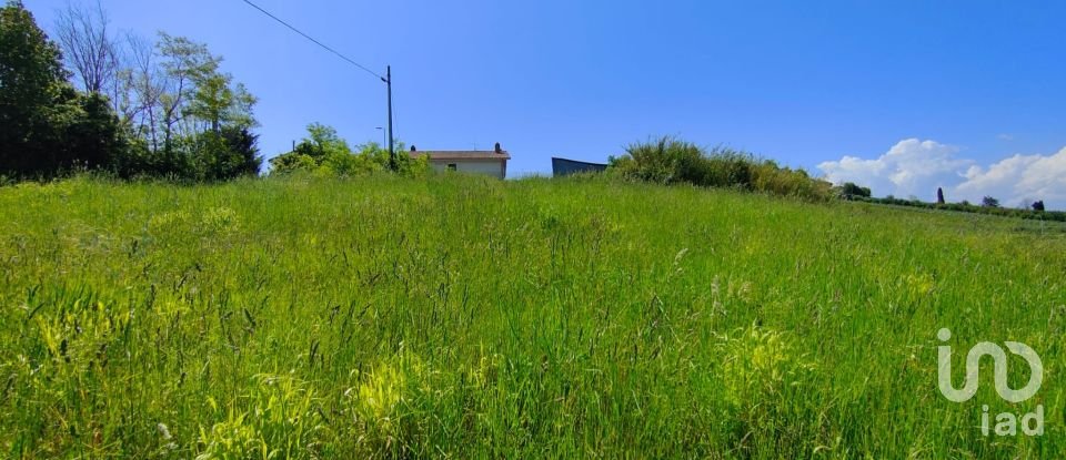 Terreno di 7.080 m² in Cossignano (63067)