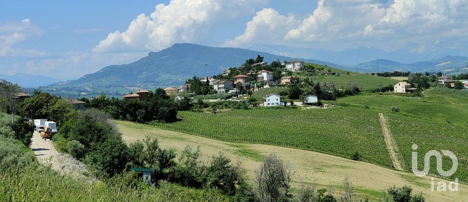 Terreno di 7.080 m² in Cossignano (63067)