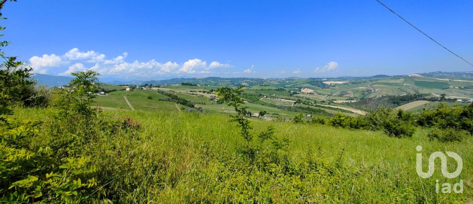 Terreno di 7.080 m² in Cossignano (63067)