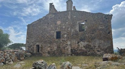 Varie superfici di 380.000 m² in Oschiri (07027)