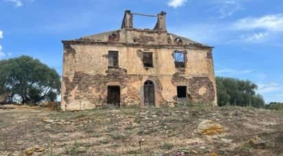 Varie superfici di 380.000 m² in Oschiri (07027)