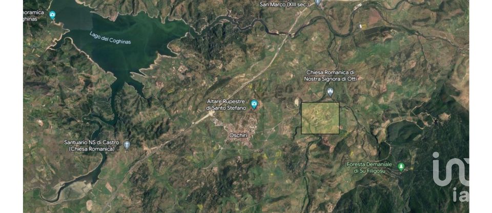 Land of 380,000 m² in Oschiri (07027)