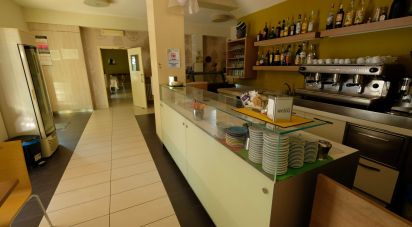 Restaurant of 772 m² in Poggio San Marcello (60030)