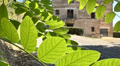 Rustico 23 locali di 400 m² in Falerone (63837)