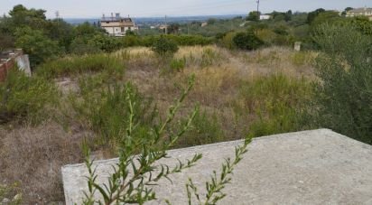 Land of 1,700 m² in Sassari (07100)