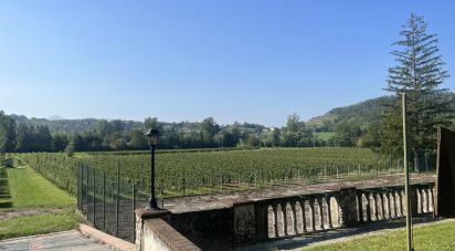 Attività locali di 1.000 m² in Gavi (15066)