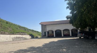Attività locali di 1.000 m² in Gavi (15066)