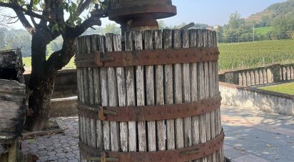 Attività locali di 1.000 m² in Gavi (15066)