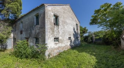Town house 8 rooms of 349 m² in Civitanova Marche (62012)