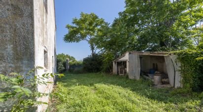 Casa indipendente 8 locali di 349 m² in Civitanova Marche (62012)