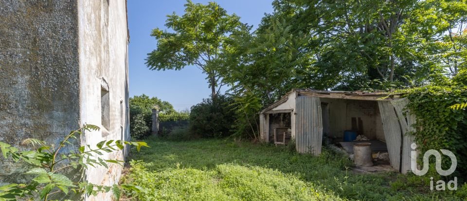 Townhouse 8 rooms of 349 m² in Civitanova Marche (62012)