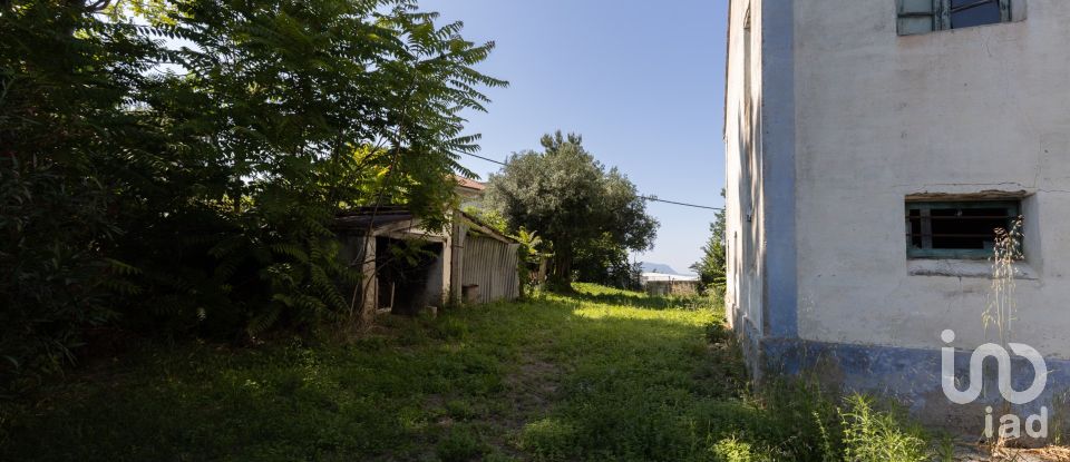 Townhouse 8 rooms of 349 m² in Civitanova Marche (62012)