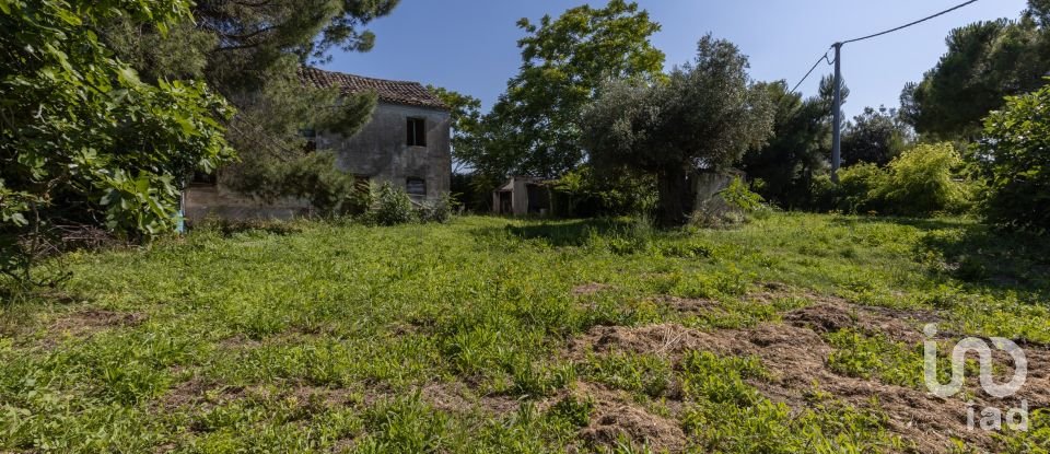 Townhouse 8 rooms of 349 m² in Civitanova Marche (62012)