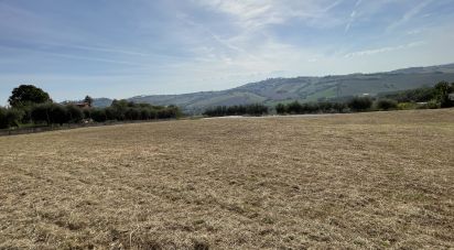 Land of 4,000 m² in Montegranaro (63812)