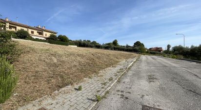 Land of 4,000 m² in Montegranaro (63812)
