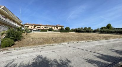 Land of 4,000 m² in Montegranaro (63812)