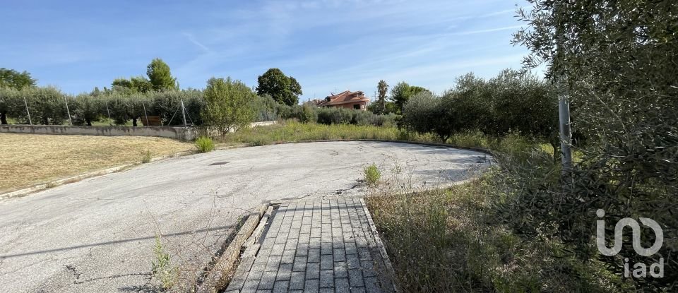Land of 4,000 m² in Montegranaro (63812)