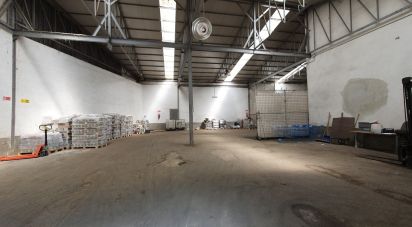 Warehouse of 1,800 m² in Sant'Olcese (16010)