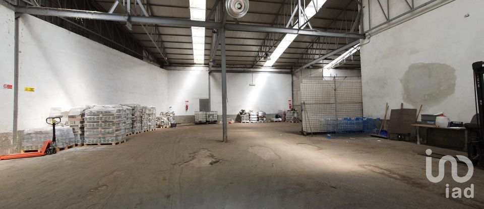 Warehouse of 1,800 m² in Sant'Olcese (16010)