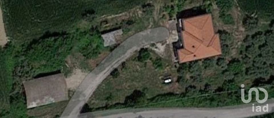 House boat 13 rooms of 380 m² in Roseto degli Abruzzi (64026)
