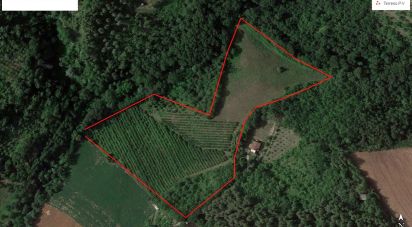 Agricultural land of 67,000 m² in Ponzano di Fermo (63845)
