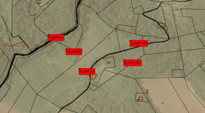 Farm land of 67,000 m² in Ponzano di Fermo (63845)