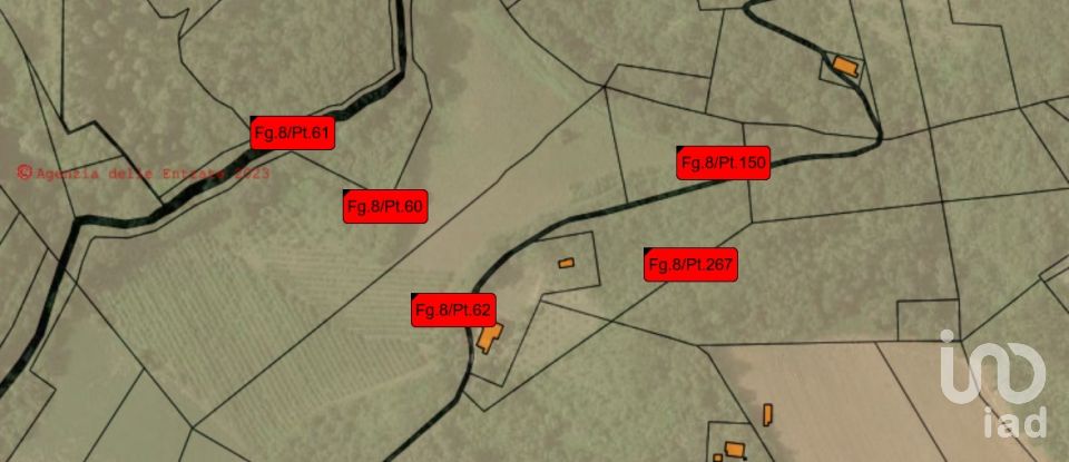 Farm land of 67,000 m² in Ponzano di Fermo (63845)