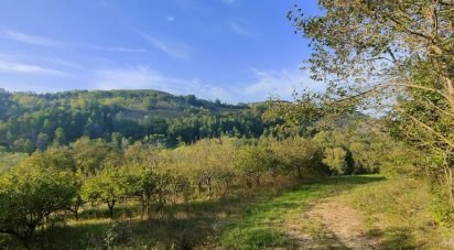 Farm land of 67,000 m² in Ponzano di Fermo (63845)