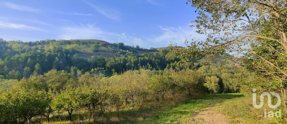 Farm land of 67,000 m² in Ponzano di Fermo (63845)