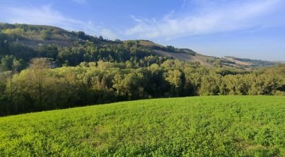 Terreno agricolo di 67.000 m² in Ponzano di Fermo (63845)