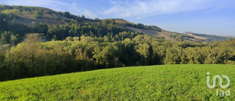 Farm land of 67,000 m² in Ponzano di Fermo (63845)