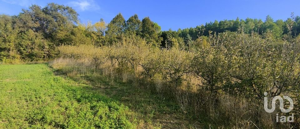 Farm land of 67,000 m² in Ponzano di Fermo (63845)