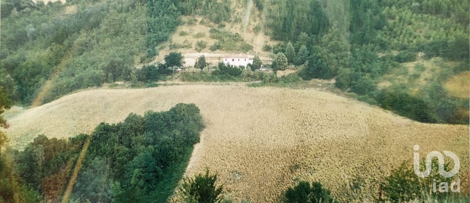 Agricultural land of 67,000 m² in Ponzano di Fermo (63845)