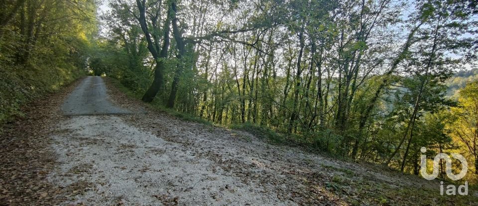 Farm land of 67,000 m² in Ponzano di Fermo (63845)