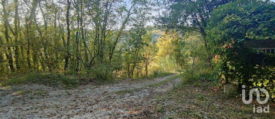 Farm land of 67,000 m² in Ponzano di Fermo (63845)