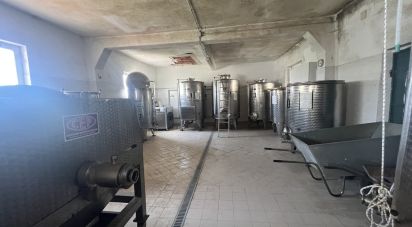 Casale 0 locali di 18.000 m² in Gavi (15066)