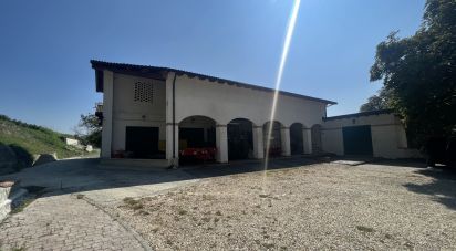 Casale 0 locali di 18.000 m² in Gavi (15066)