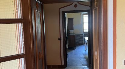 Casale 0 locali di 18.000 m² in Gavi (15066)